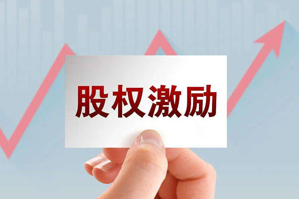 非上市公司為什么要實施股權(quán)激勵？