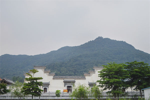 佛山組織規(guī)劃咨詢公司如何優(yōu)化企業(yè)人才梯隊(duì)建設(shè)？