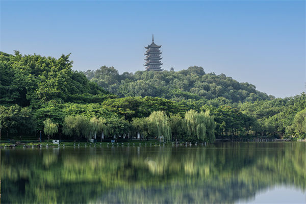 如何評(píng)估佛山集團(tuán)管控咨詢公司的服務(wù)質(zhì)量和效果？