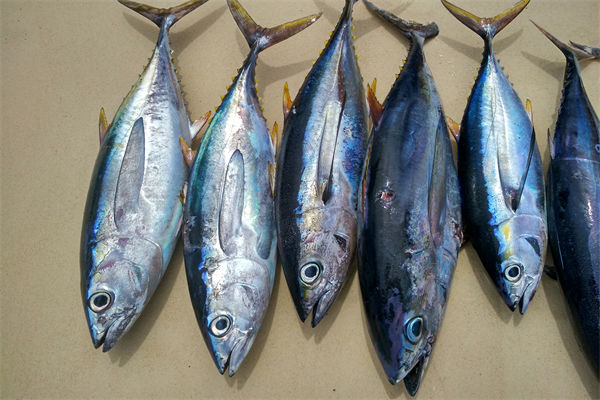 商務(wù)部：將幫助外貿(mào)企業(yè)擴寬內(nèi)銷渠道，政策解讀！