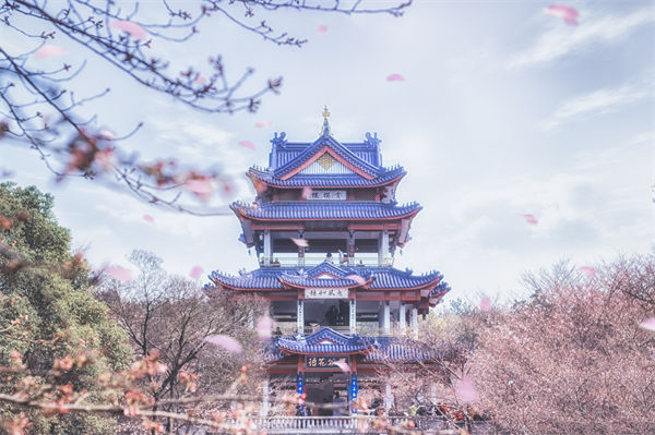供應(yīng)鏈成本居高不下，無(wú)錫供應(yīng)鏈咨詢公司如何精準(zhǔn)砍出利潤(rùn)空間？